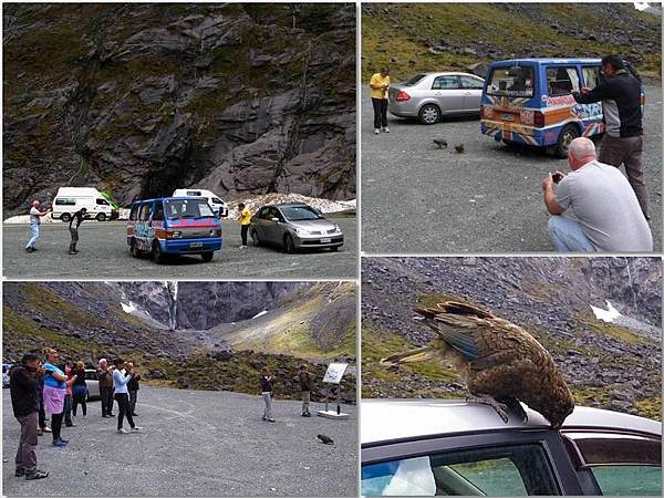 kea.