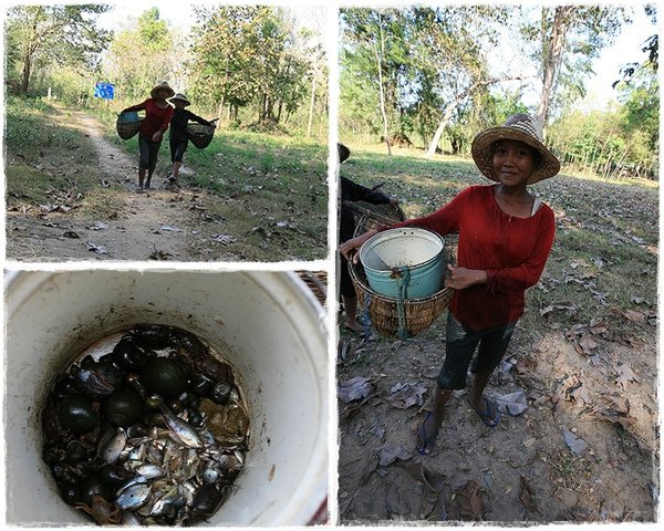 捕魚抓貝類的婦女.jpg