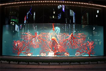 2006122721419159.jpg