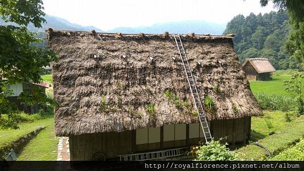 山腳下的草屋_IMAG3565.jpg
