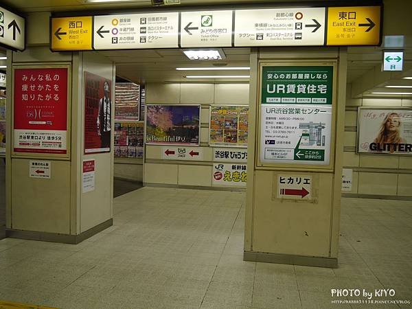 P1100410.jpg