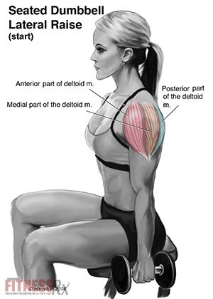 SEATED-DB-LAT-RAISE-INS1