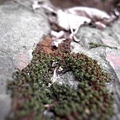 PICT0191.JPG