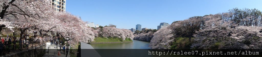 DSC05975_大小 