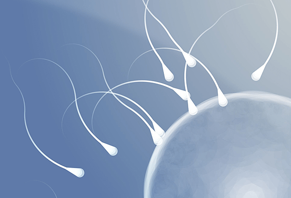 sperm22.png