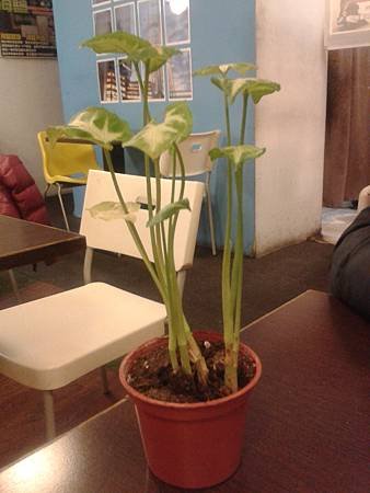 2014-12-21-17-05-49_photo