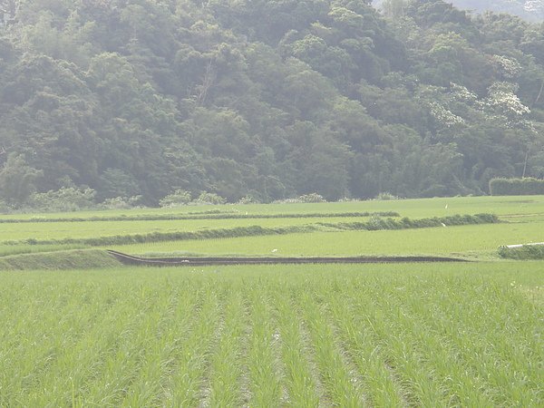 P4250382.JPG