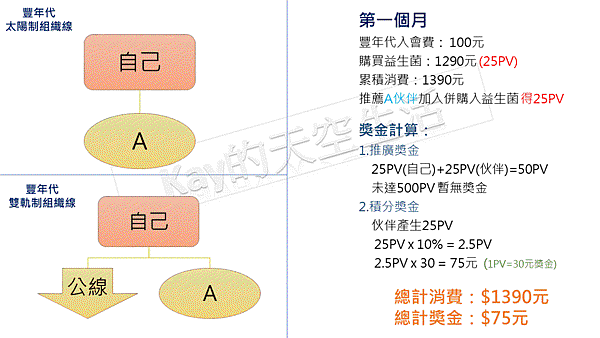 艾多美vs豐年代 獎金制度對照2.GIF