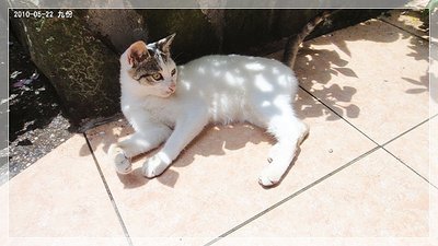 DSC01827_resize.JPG