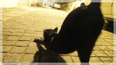 DSC01361_resize.JPG