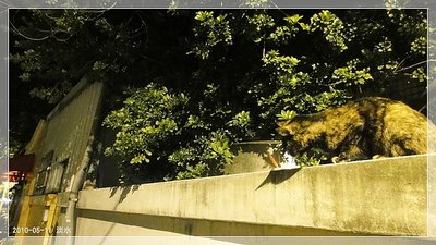 DSC01374_resize.JPG