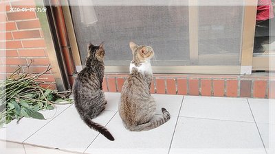 DSC01824_resize.JPG