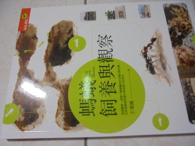 DSC01639.JPG
