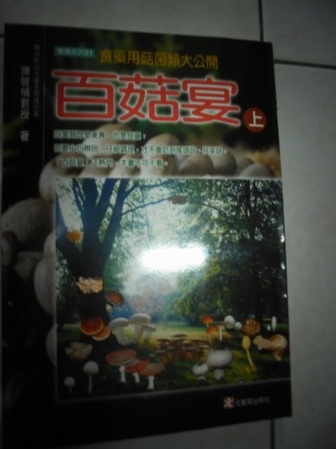 DSC00517.JPG