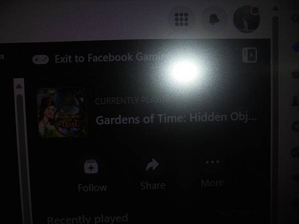 facebook免費英文版網頁遊戲    gardens  