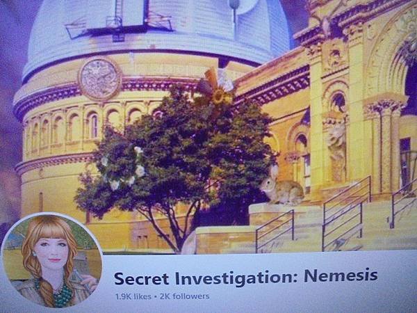facebook   英文版網頁遊戲中    secret 