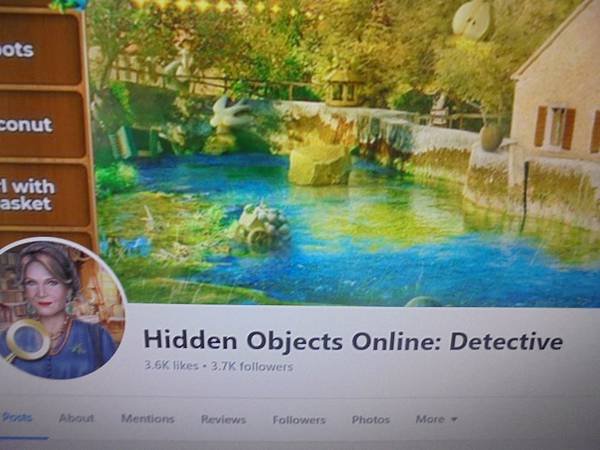 facebook   英文版網頁遊戲中    secret 