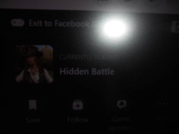 facebook   英文版網頁遊戲中    secret 