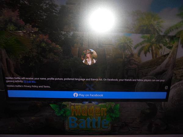 facebook   英文版網頁遊戲中    secret 