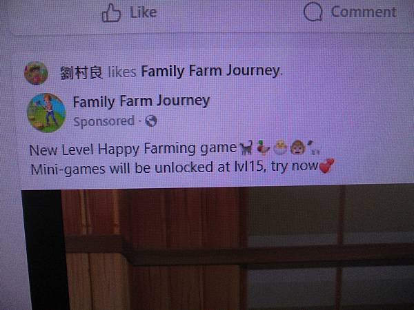 facebook英文版網頁遊戲     family   f