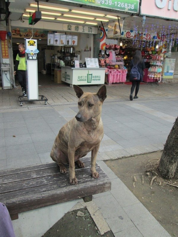 什麼是錯誤的、不調和的東西2.jpg