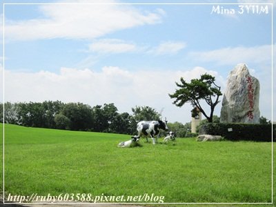 IMG_2454.JPG