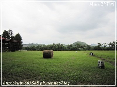 IMG_2537.JPG
