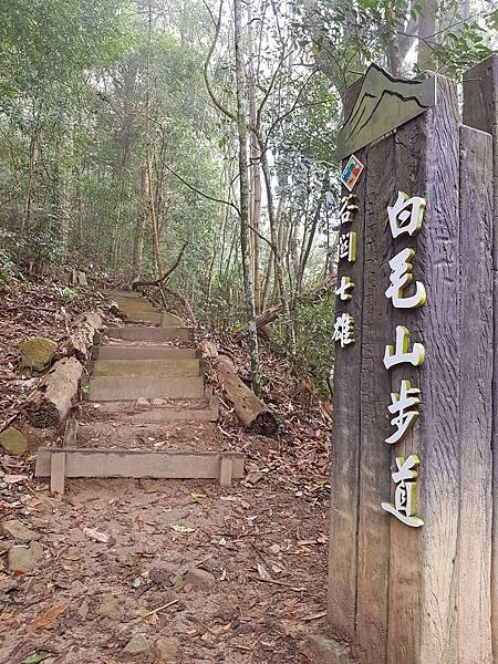 20180307_094042.jpg
