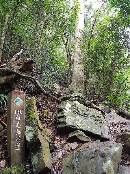 20180307_110932.jpg