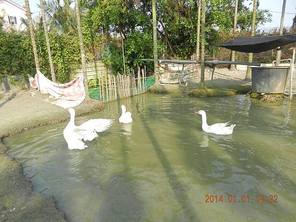 DSCN0135