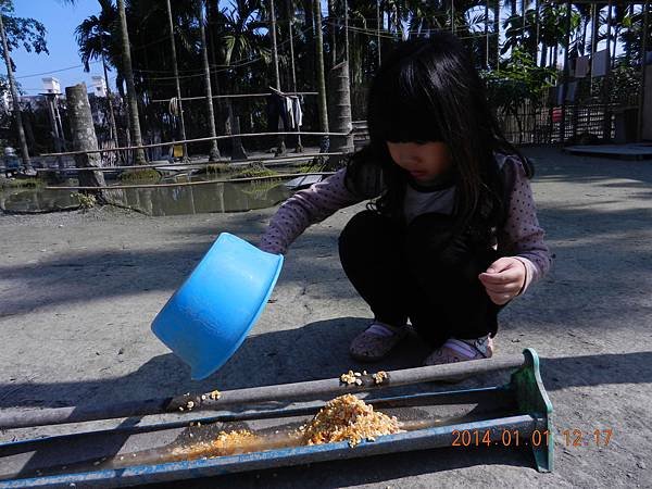 DSCN0123
