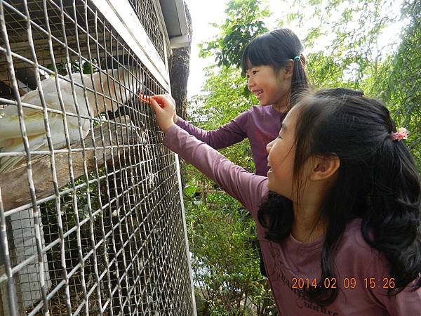 DSCN0785