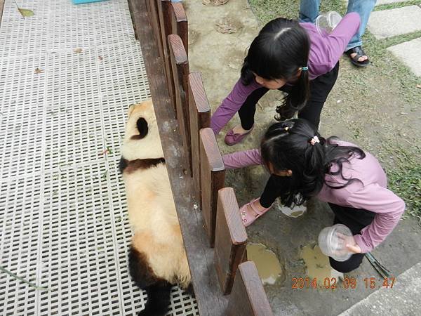 DSCN0814