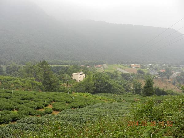 DSCN5849