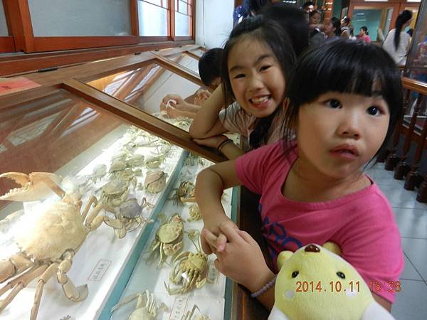 DSCN8725