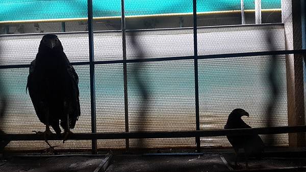 20150830_144048.jpg