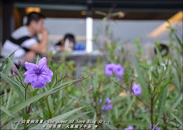 下午茶14