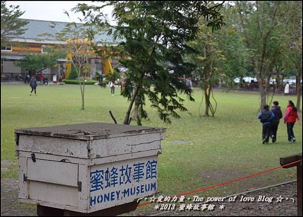 蜜蜂5