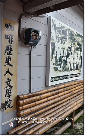 油桐29