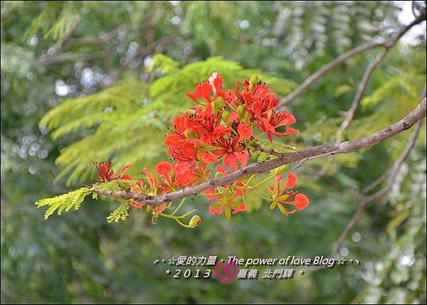 北門19.jpg