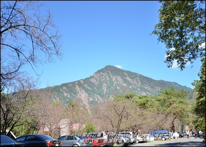 惠蓀11.jpg