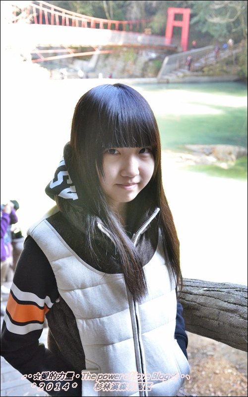杉林9.jpg