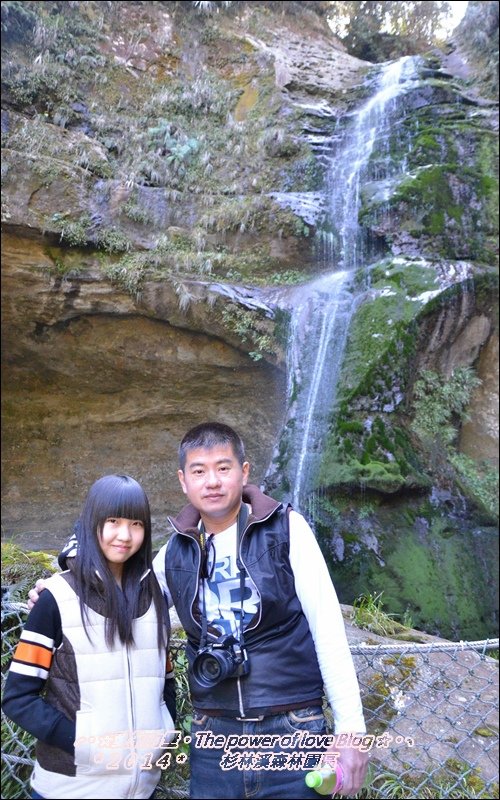 杉林14.jpg