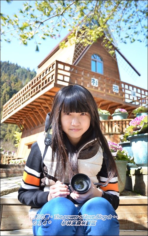 杉林27.jpg