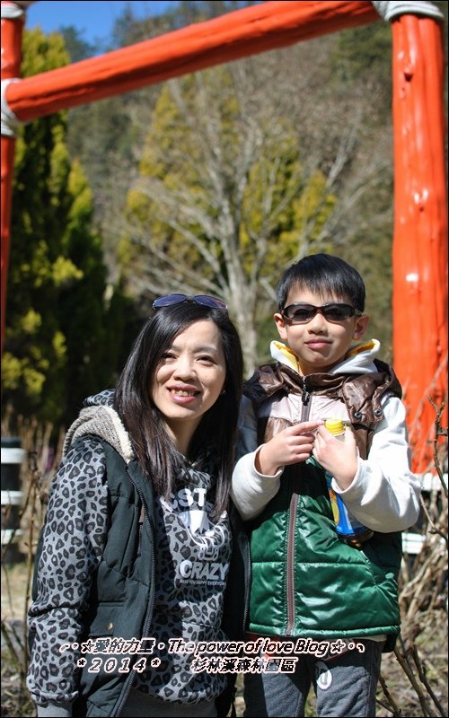 杉林33.jpg