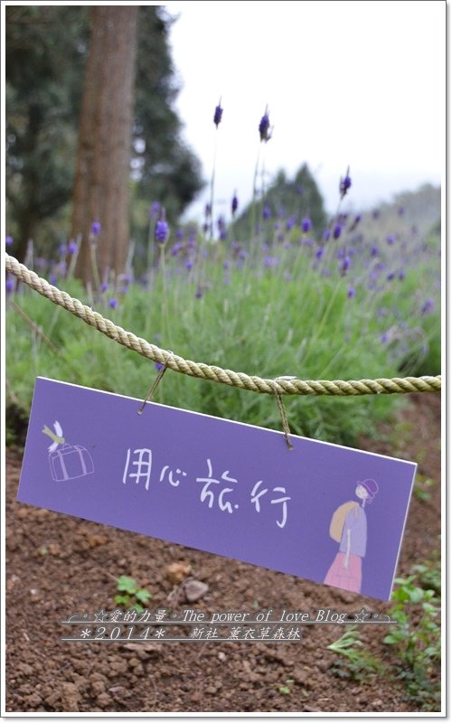 薰64.jpg
