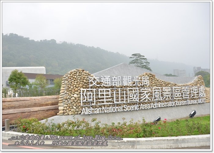 阿里1.jpg