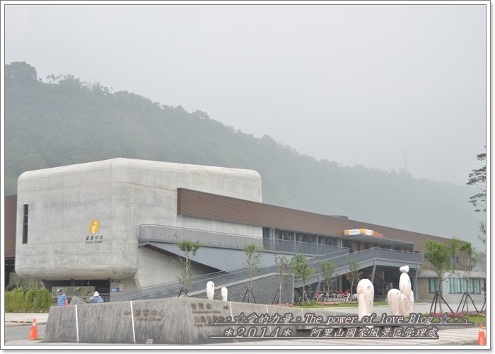 阿里2.jpg