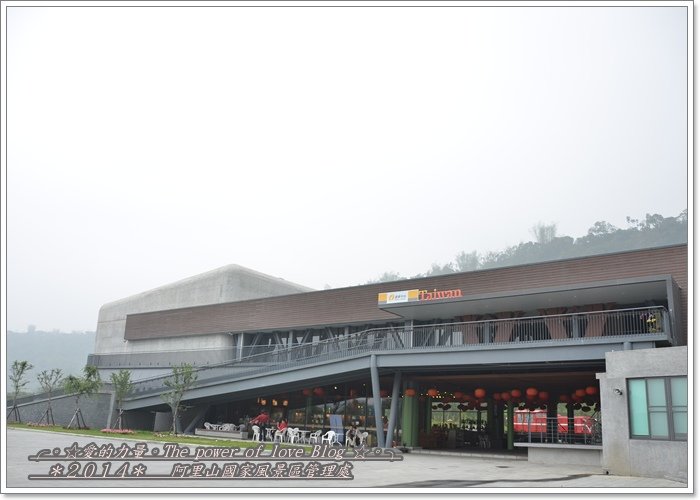 阿里4.jpg
