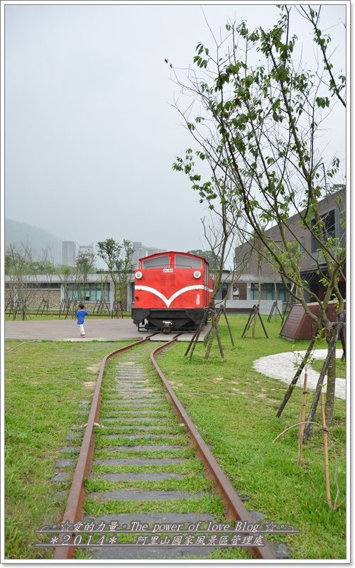 阿里9.jpg